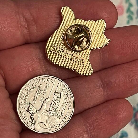 Strawberry Shortcake Pink Cat Enamel Pin Officially Licensed - Picture 7 of 8